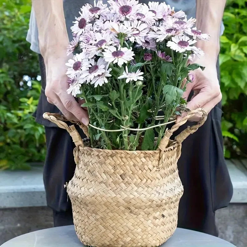 IronBloom Hanging Plant Hook