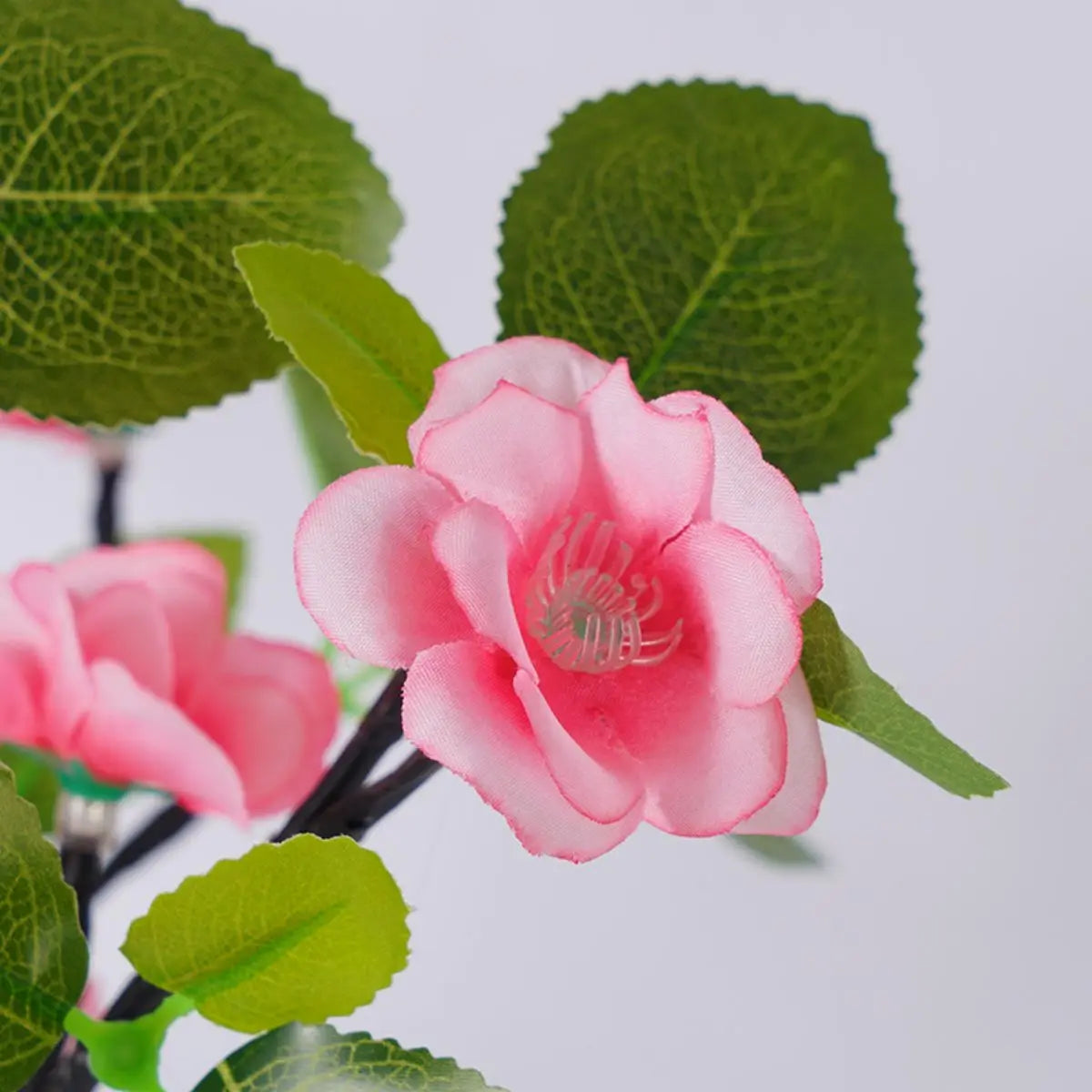 Floralume