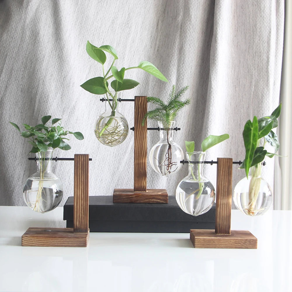 The Wooden Balance Terrarium™