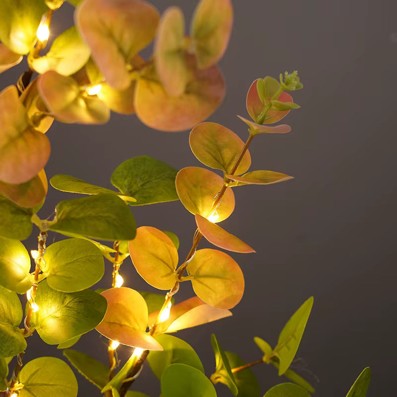 Eucalyptus Glow Tree