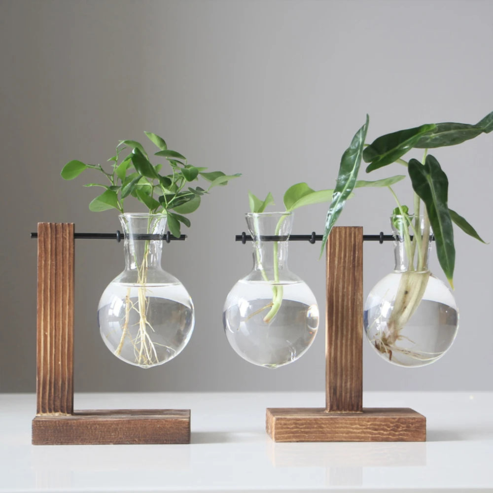 The Wooden Balance Terrarium™