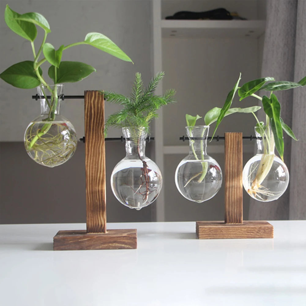 The Wooden Balance Terrarium™